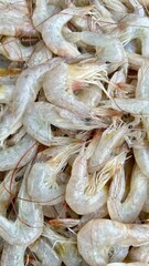 fresh shrimps on the market