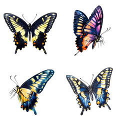 Naklejka premium Colorful butterfly species display nature setting digital art studio environment close-up view wildlife concept