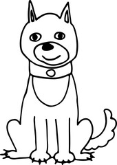 cute friendly dog with collar sits and looks at camera