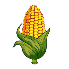 corn vector illustration cartoon art style object template design