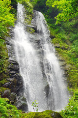自然の中で勢いよく流れる不動滝。新潟県へ家族旅行。