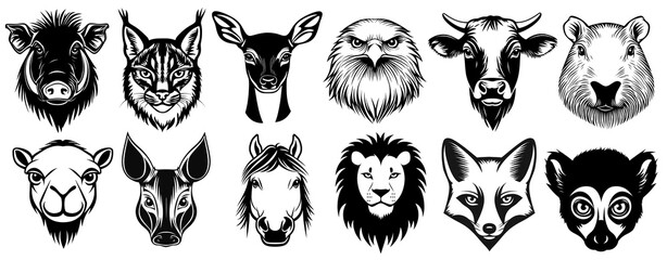PNG Wild animal head illustrations collection set, isolated on transparent background