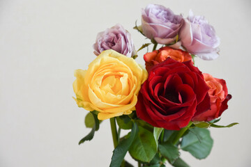 カラフルなばら