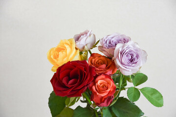 カラフルなばら