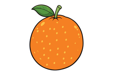 3d illustration of orange fruit on white background