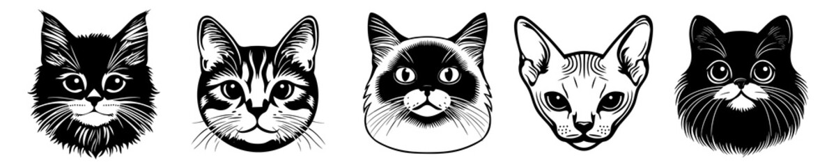 PNG Illustrated cat faces collection set, isolated on transparent background