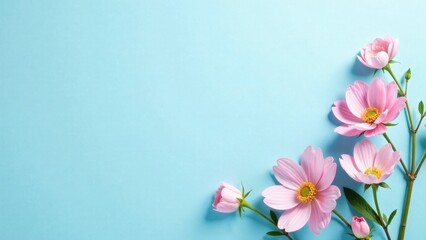 Fototapeta premium Delicate Pink Blossoms Arranged on a Light Blue Background, Creating a Serene and Elegant Floral Composition Perfect for Invitations, Cards, or Digital Designs.