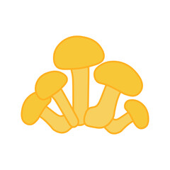 basidiomycota