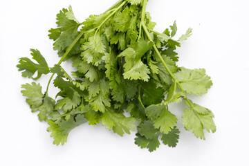 Fresh organic coriander, vegetables and herbs
