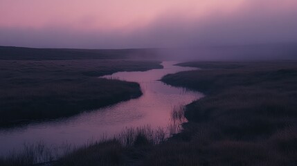 Fototapeta premium A calm stream meandering through a grassy plain, with the warm light of dawn illuminating the landscape