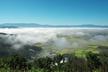 雲海