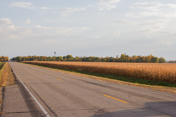 Looking at the north side of Holland, Minnesota in autumn