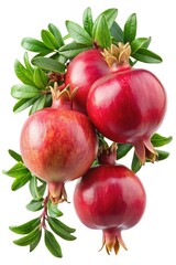Fresh Pomegranates with Green Leaves on Branch - A close-up of fresh pomegranates hanging on a branch with green leaves, highlighting their vibrant color and healthy look.

