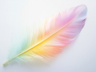 Obraz premium Delicate Single Feather with Pastel Rainbow Colors on White Background.