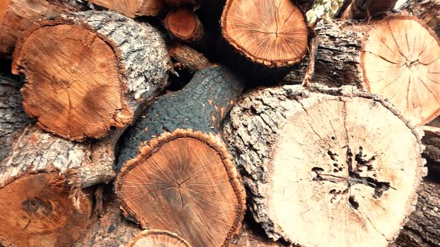 acercamiento de le&ntilde;a para fogata cocina artesanal horno para pizza rancho en pueblo troncos de arbol cortados en le&ntilde;a pila de madera 