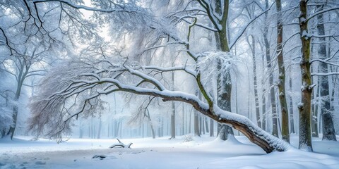 Naklejka premium Serene Winter Woodland Scene Snow-Covered Trees and Branches in a Misty Forest