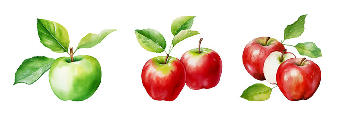 Watercolor Illustration of Red Apples with Leaves for Fresh and Organic Designs, on a white and transparent background, PNG.