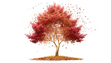 A romantic, golden-hearted tree with leaves transitioning from soft pink to vibrant red, with hints of gold, floating gently on a calm breeze, on a white transparent background PNG