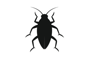 black and white beetle