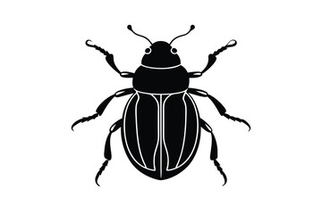 state potato beetle isolated