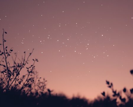 Serene Dusk Sky with Twinkling Stars and Silhouetted Foliage.