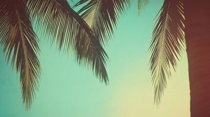 Palm fronds against a tranquil pastel sky background
