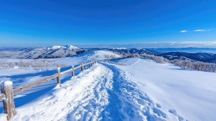 Snowy mountain path, winter landscape, scenic view, hiking trail, travel photography