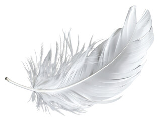 Obraz premium PNG Floating white feather background gray gray background.