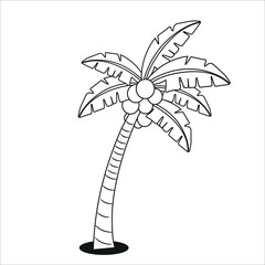 illustration of a palm tree