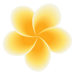 Plumeria flower graphic element design on white background. Vector illustration.