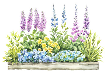 PNG Flower Beds flowers illustration watercolor.