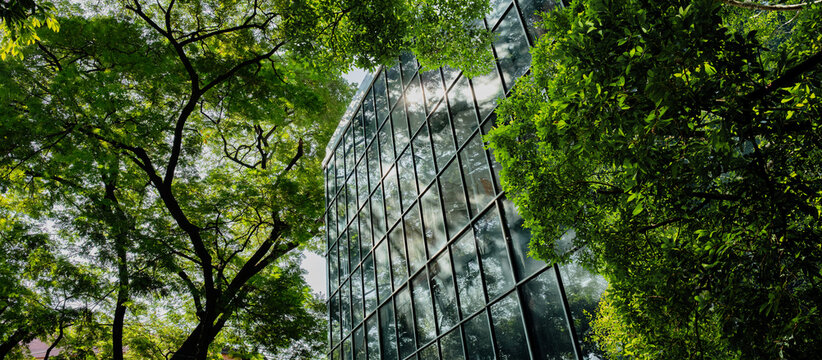 Fototapeta Modern glass office building with big trees around to reduce heat and carbon dioxide. Eco-friendly building and CO2 reduction corporate building. Sustainability concept