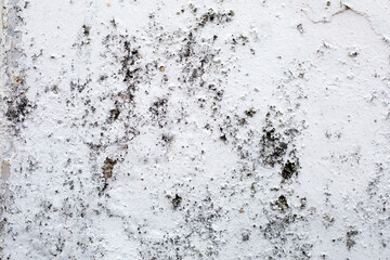 Grunge Texture Background Dirty Concrete