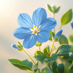 Beautiful forget-me-nots flower glisten with morning dew, creating a serene and enchanting morning scene, Created with generative AI.