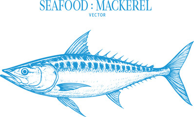 Fototapeta premium Vintage style detailed seafood illustration, hand-drawn etching style, antique engraving style.