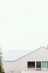 Obraz premium Modern architectural design of a minimalist house surrounded by trees in a misty landscape