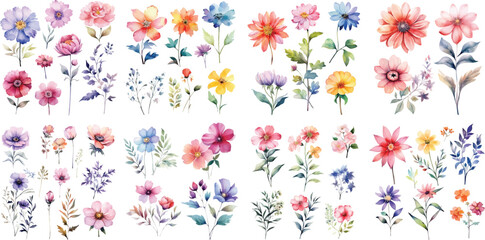 A Big watercolor floral package collection. Use by fabric, fashion, wedding invitation, template, poster, romance, greeting, spring, bouquet, pattern, decoration and textile.	