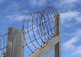 Barbed wire fence with blue sky and clouds in the background