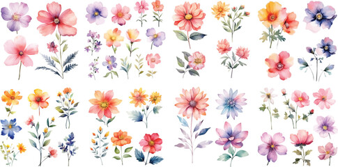 A Big watercolor floral package collection. Use by fabric, fashion, wedding invitation, template, poster, romance, greeting, spring, bouquet, pattern, decoration and textile.	