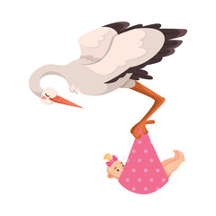Stork Carry Baby in Wrap with Beak Vector Illustration