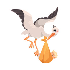 Stork Carry Baby in Wrap with Beak Vector Illustration