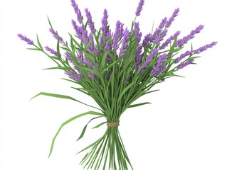 Fototapeta premium Lavender Bundle