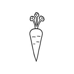 Minimalist Carrot Vector Outline Art
