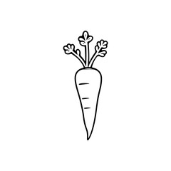 Black and White Carrot Line Art Vector
