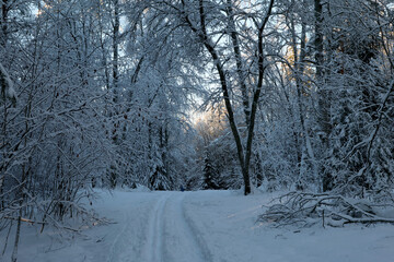 Winter