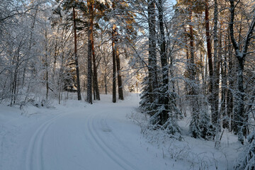 Winter