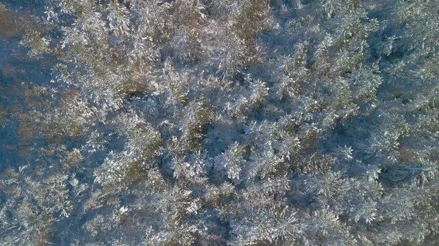 Aerial 4K flyover and tilt up shot of the frozen Uvac river meanders and mountains in winter, Serbia
