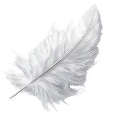White feather isolated on transparent background PNG