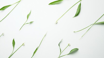 Minimalist vegetable composition with clean geometric arrangement on solid white background