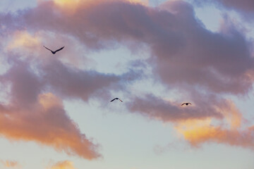 colorful sunset clouds background